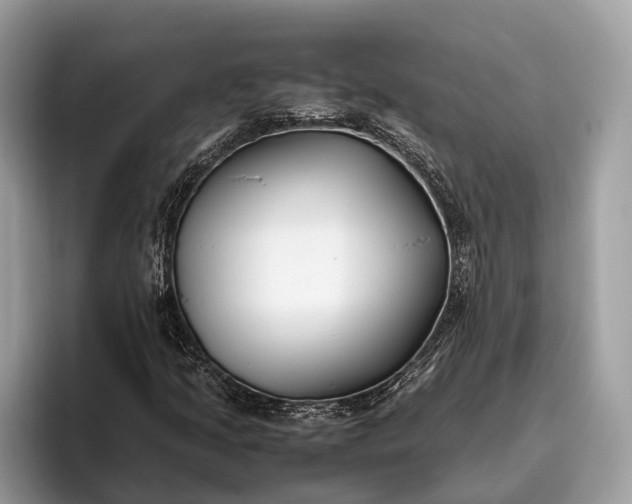 X0000095911205200801251003