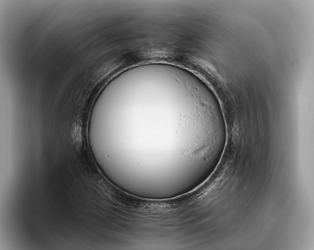 X0000095911209200801251003