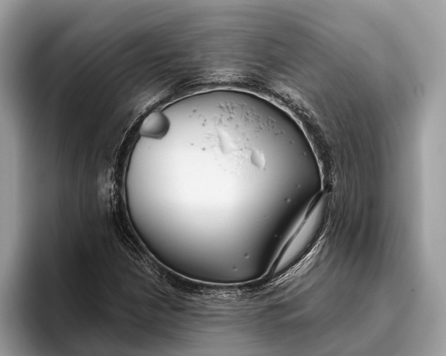 X0000095911210200801251003