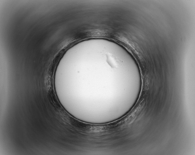 X0000095911211200801251003