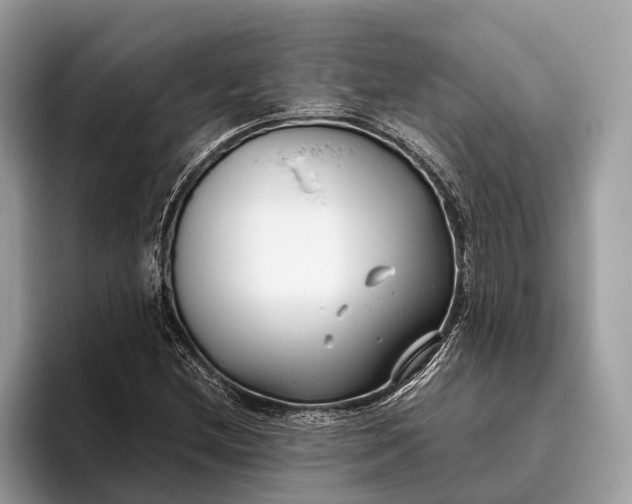 X0000095911212200801251003