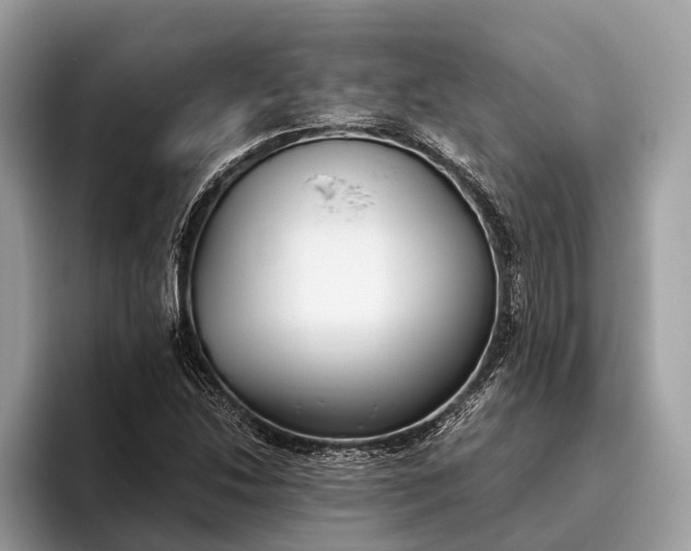 X0000095911214200801251003