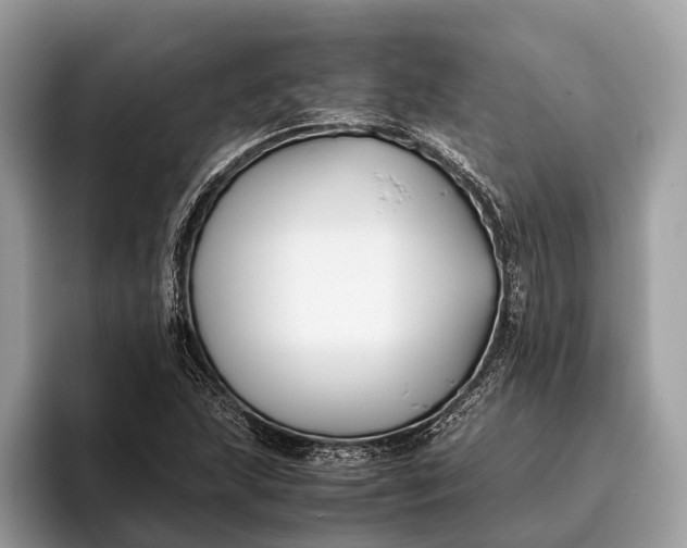 X0000095911215200801251003