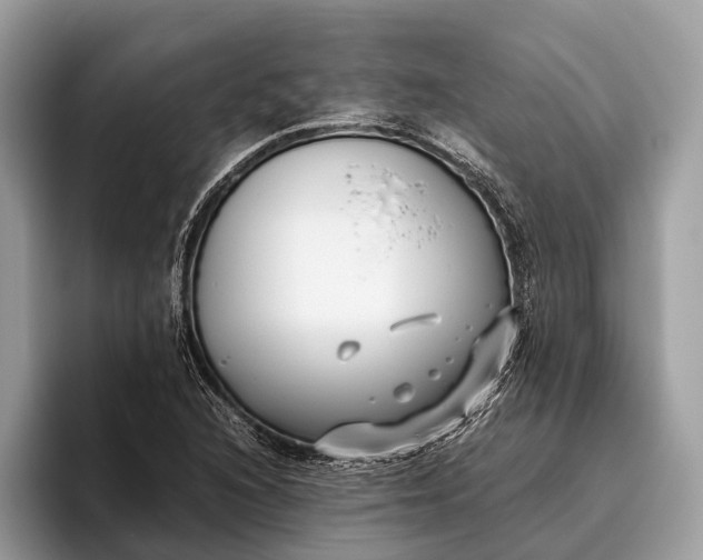 X0000095911216200801251003