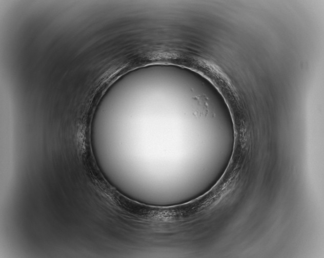 X0000095911217200801251003