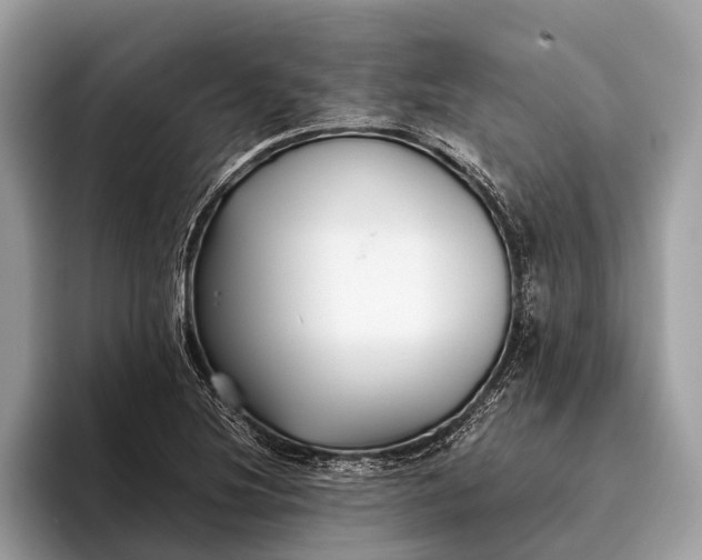 X0000095911220200801251003