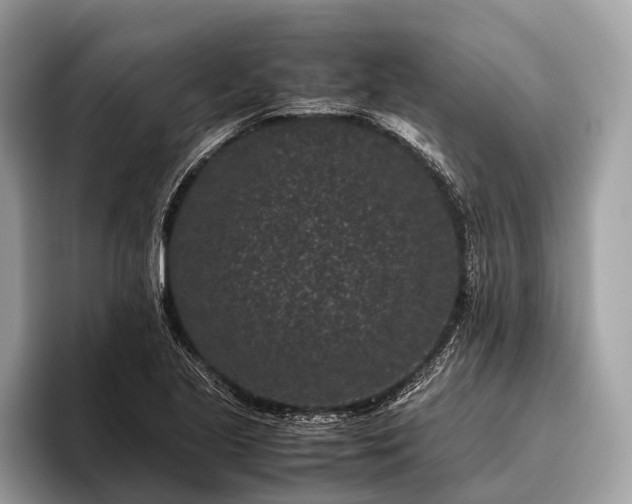 X0000095911221200801251003