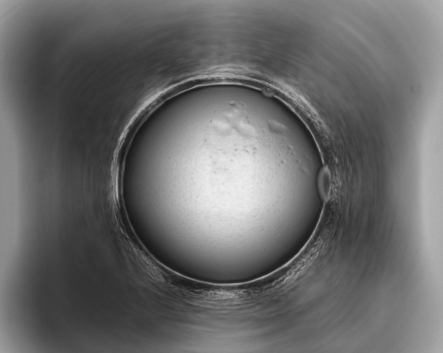 X0000095911224200801251003