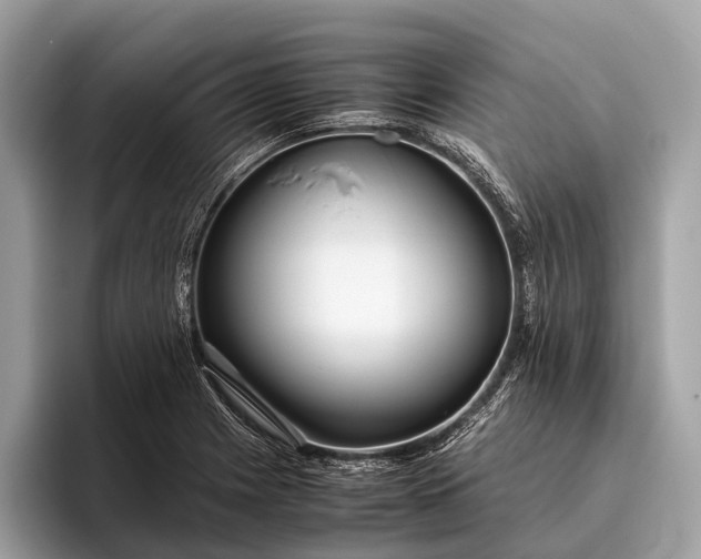 X0000095911225200801251003