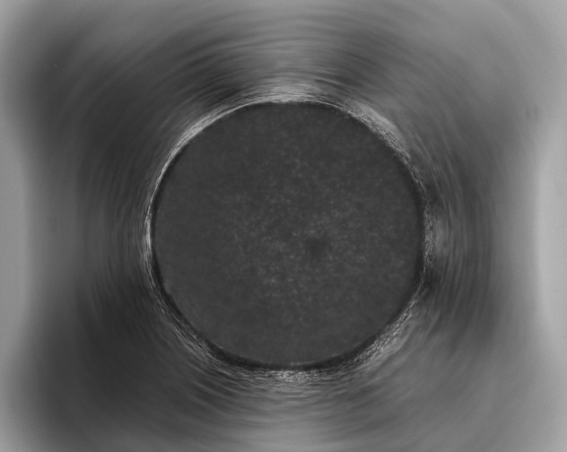 X0000095911226200801251003