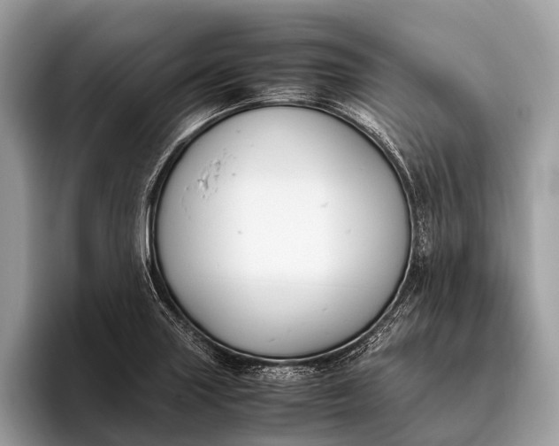 X0000095911227200801251003