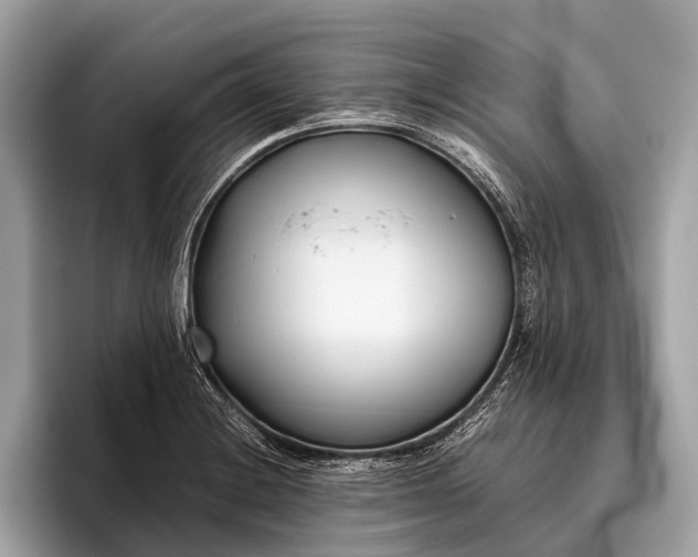 X0000095911228200801251003