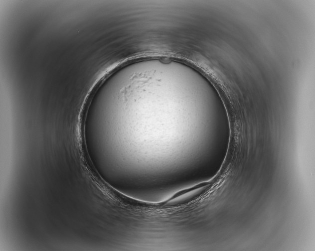 X0000095911230200801251003