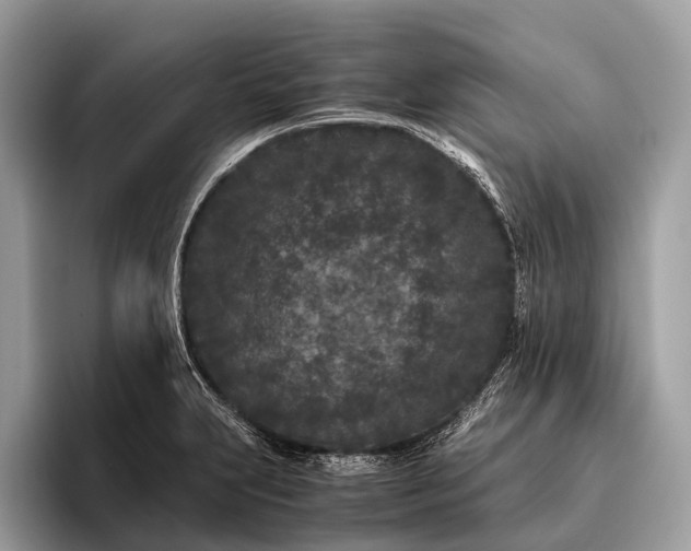 X0000095911231200801251003