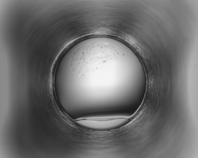 X0000095911232200801251003