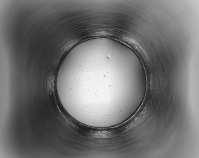 X0000095911233200801251003