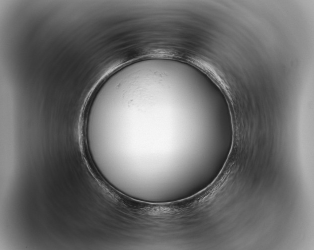 X0000095911235200801251003