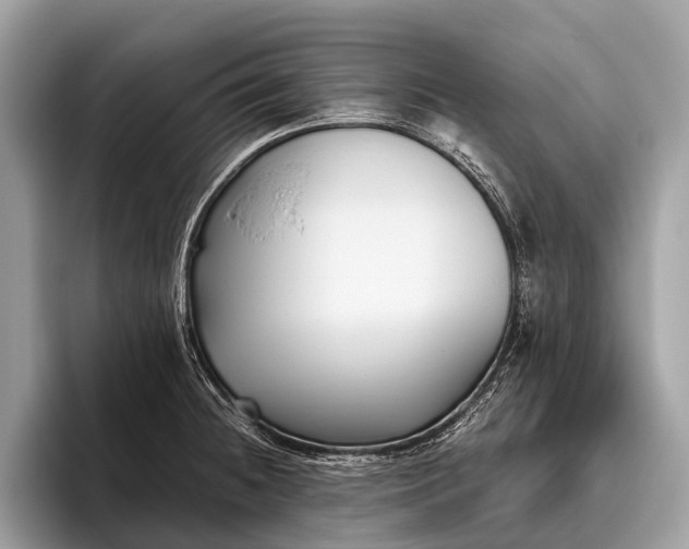 X0000095911236200801251003