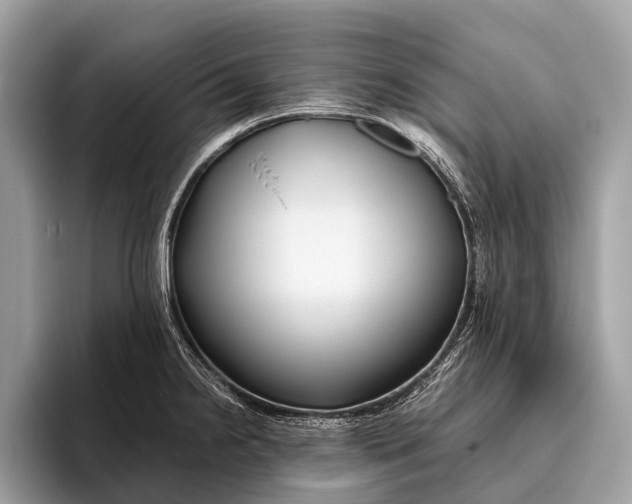 X0000095911238200801251003