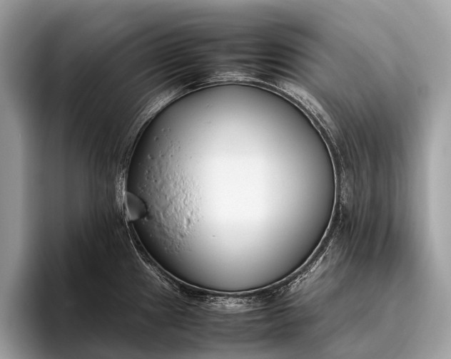 X0000095911241200801251003