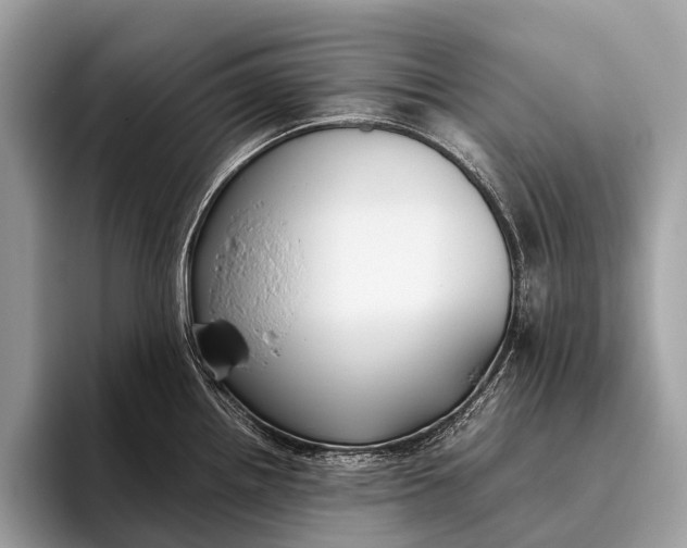 X0000095911242200801251003