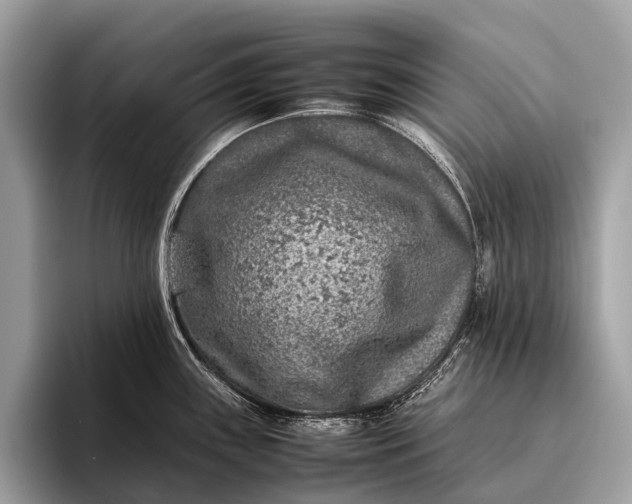 X0000095911243200801251003