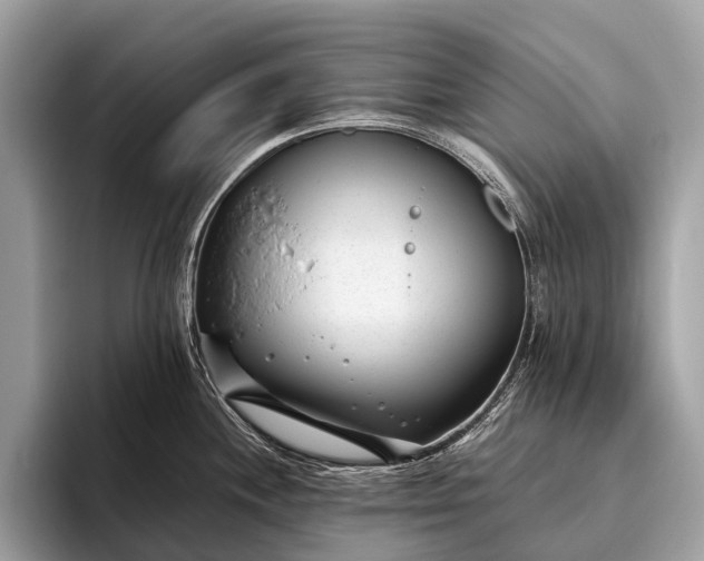 X0000095911244200801251003