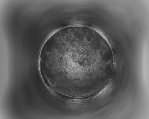 X0000095911245200801251003