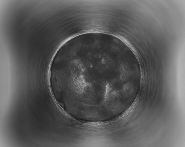 X0000095911246200801251003