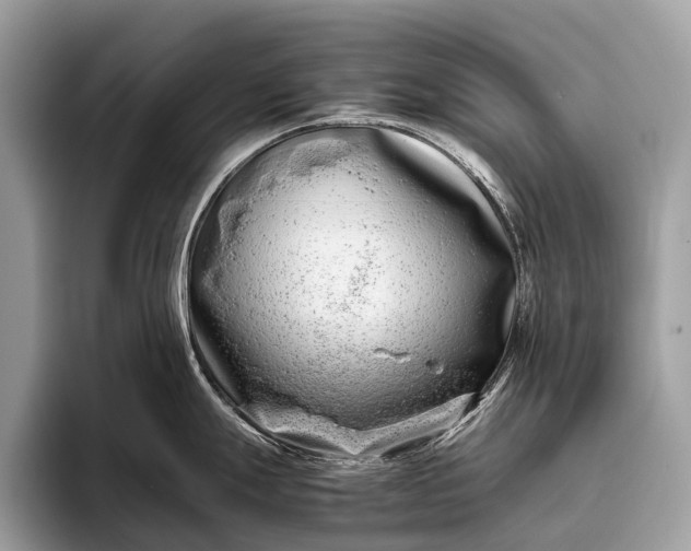 X0000095911247200801251003