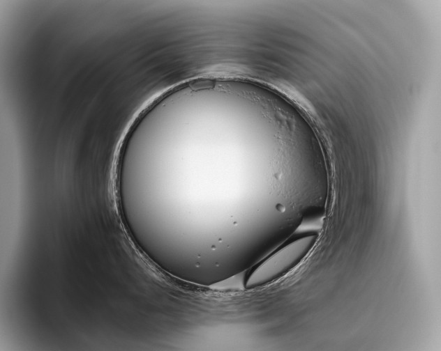 X0000095911248200801251003