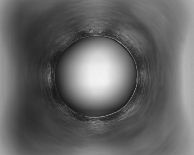 X0000095911250200801251003