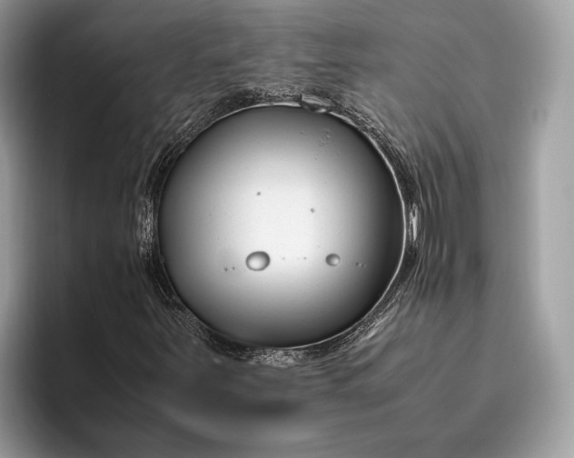 X0000095911251200801251003