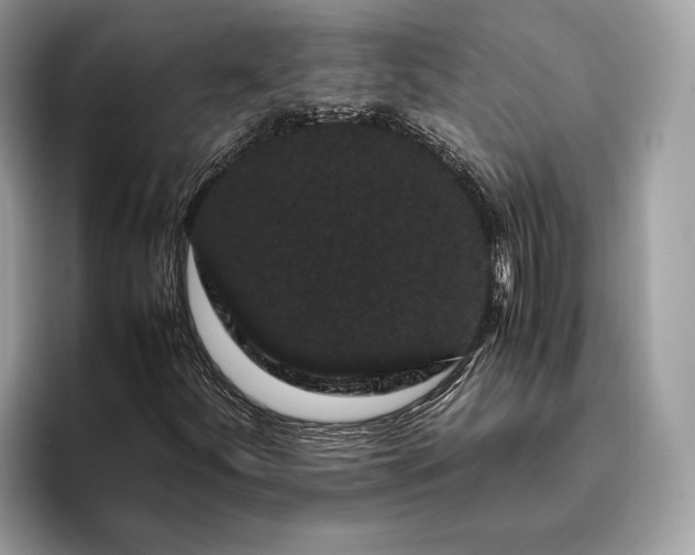 X0000095911252200801251003