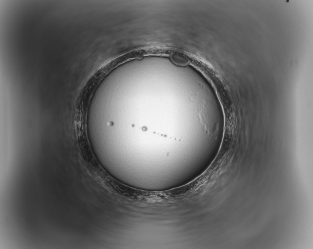 X0000095911255200801251003