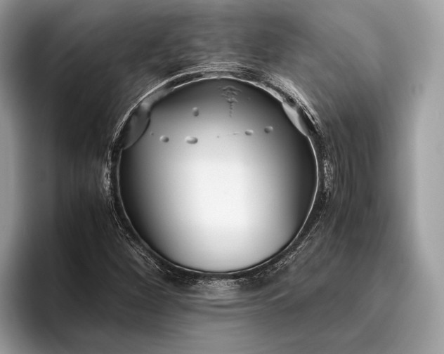 X0000095911260200801251003