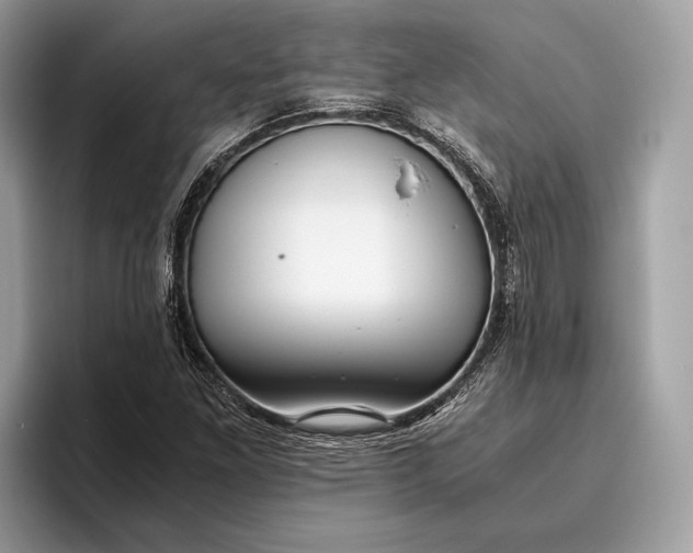 X0000095911261200801251003