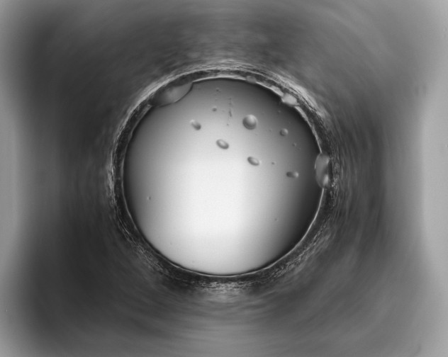 X0000095911264200801251003