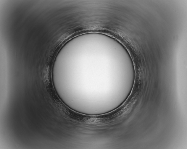 X0000095911265200801251003