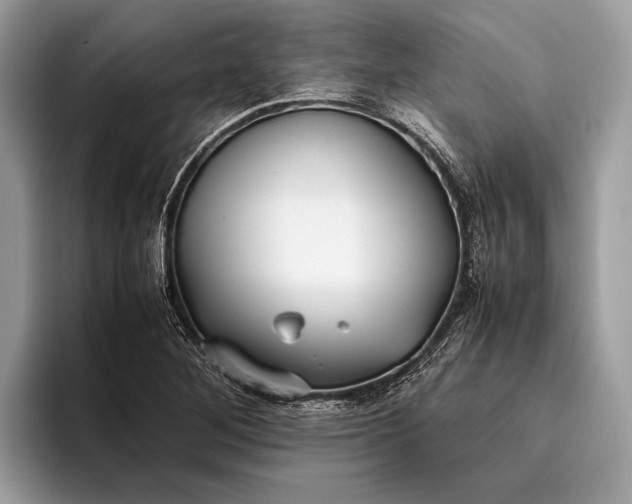 X0000095911268200801251003