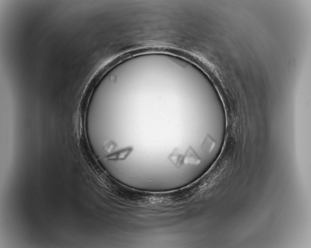 X0000095911271200801251003