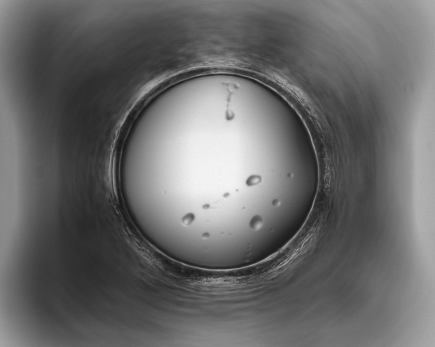 X0000095911272200801251002