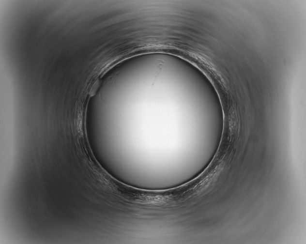 X0000095911273200801251002