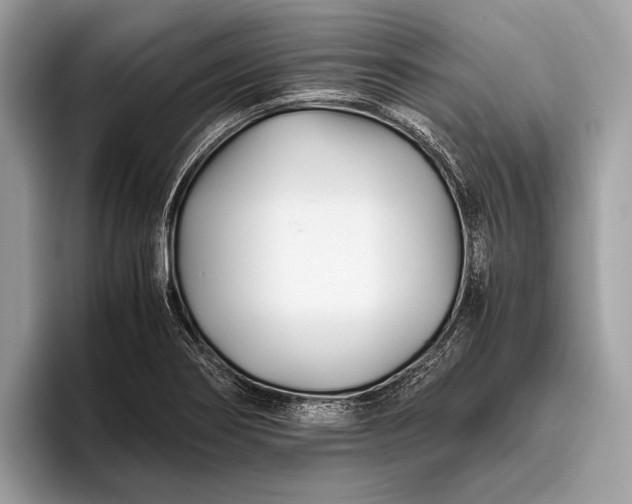 X0000095911274200801251002