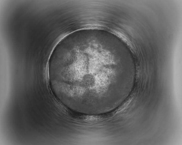 X0000095911275200801251002