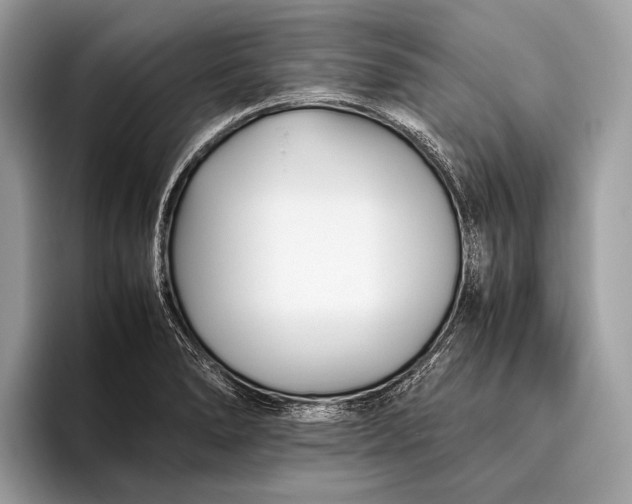 X0000095911278200801251002