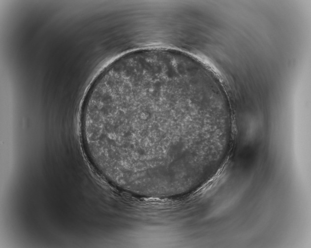 X0000095911279200801251002