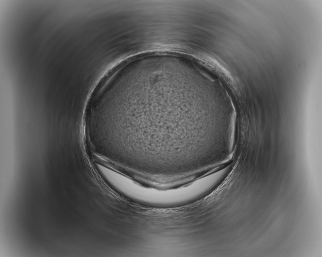 X0000095911280200801251002