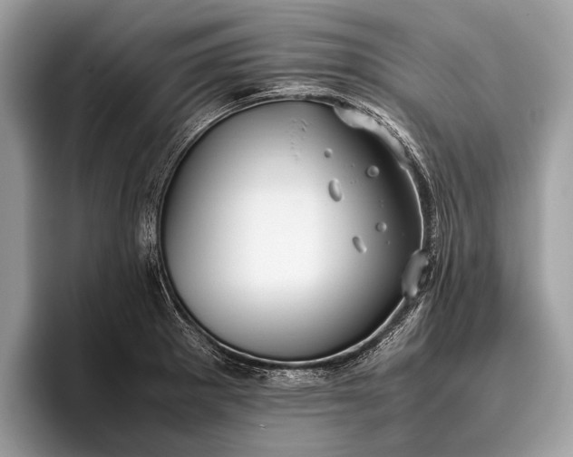 X0000095911281200801251002