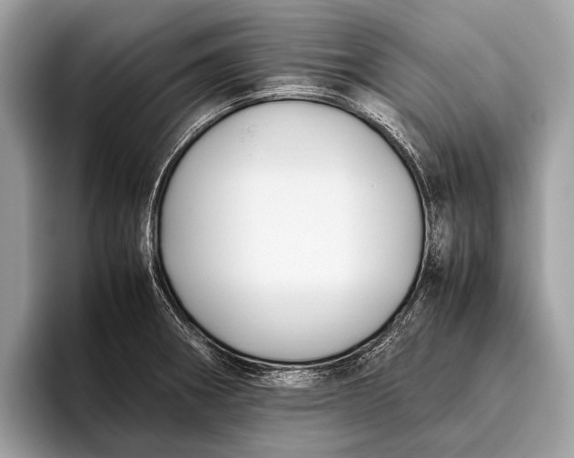 X0000095911282200801251002